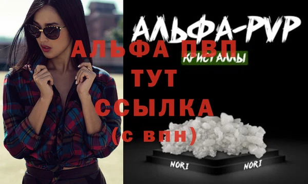 сатива Алексин
