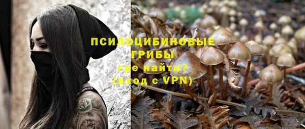 прущие крисы Алзамай