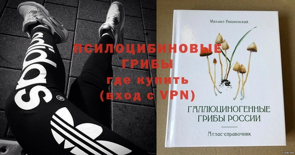стафф Абинск